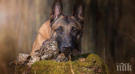 едно необикновено приятелство