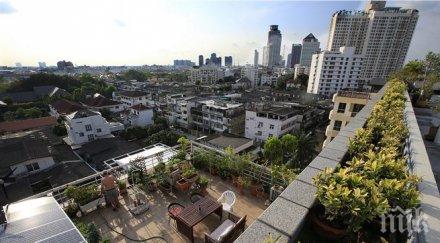 озеленяването покриви полша става все популярно