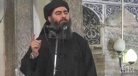 сащ разузнаха вътрешната структура ислямска държава