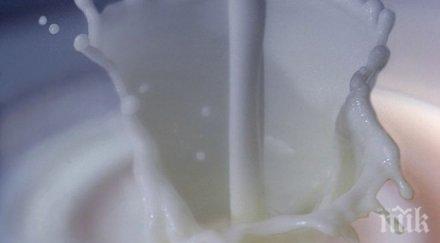 нов скандал истинско кравето масло търговци продължават влагат продуктите немлечни мазнини