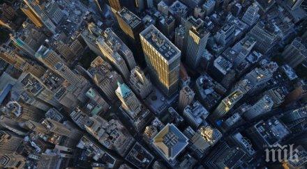 български брокер мамил уол стрийт три