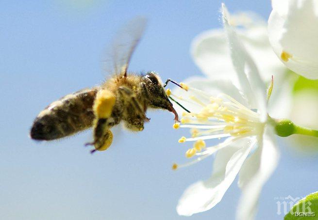 Предимно слънчево и топло