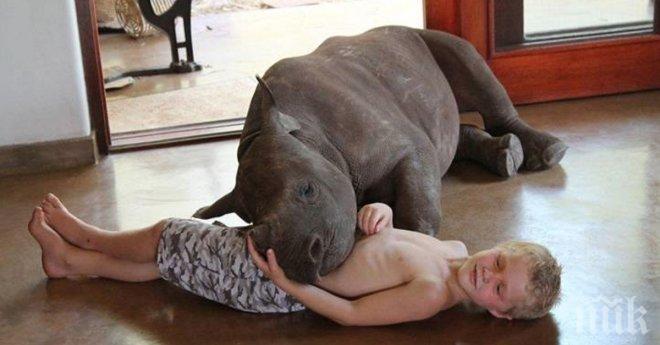 Бракониери убиват майката му. Сега той има нужда от много любов...