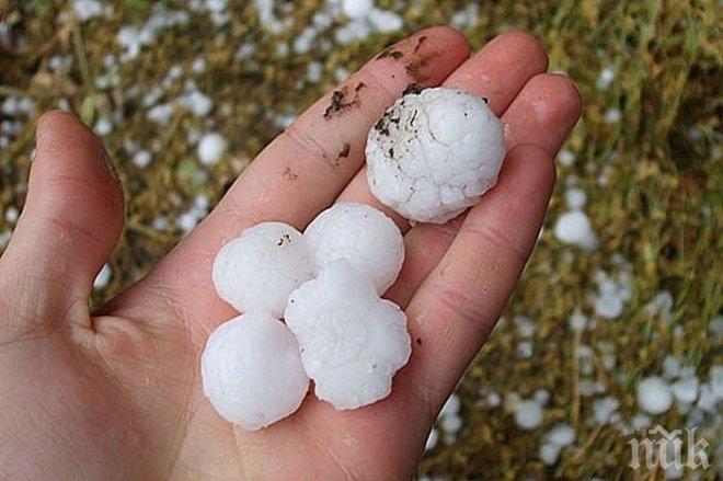 Основният проблем на овощарите са градушките 