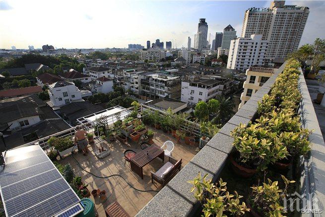 Озеленяването на покриви в Полша става все по-популярно