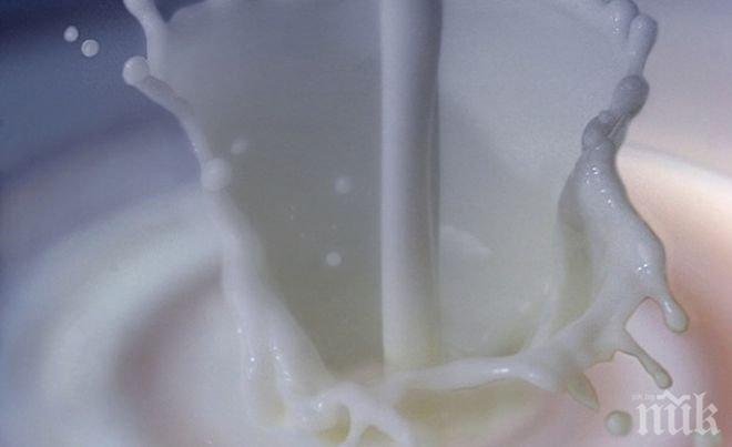 Нов скандал! Истинско ли е кравето масло? Търговци продължават да влагат в продуктите немлечни мазнини