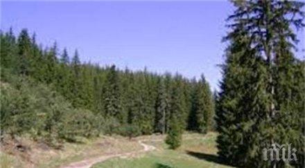 дават 600 хил лева ремонт ловджийски път