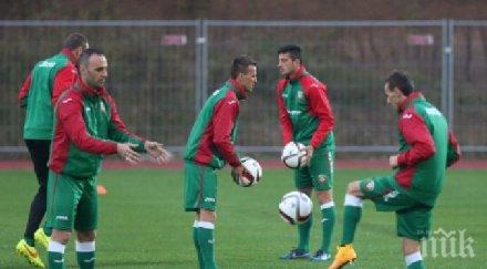 лъвовете вече малта