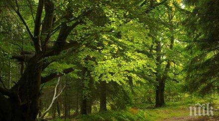 депутат бсп предлаганите промени закона горите решат проблемите сектора