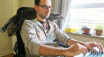 котки готови всичко попречат свършиш работата…