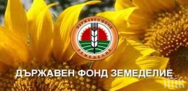 ДФЗ изплати над 1.2 млн. лв. за развитие на рибарството