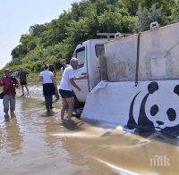 Зарибиха Дунав с 50 000 броя чига