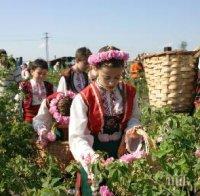 Рекорд! Розовото масло по 6500 евро за килограм!