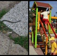 Само в ПИК! Паника в София: Змия пълзи на метри от 10 малки деца (снимки)