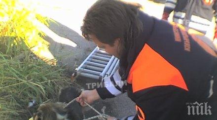 куче заседна улична шахта викаха спасители вадят