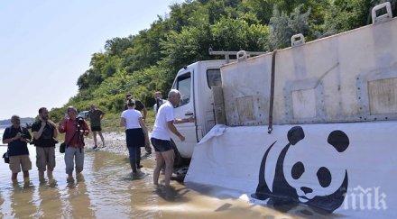 зарибиха дунав 000 броя чига