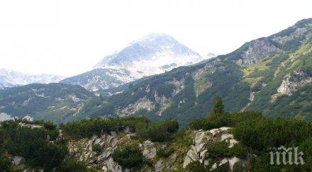 зам министър земеделието промяната закона горите направи работата ефективна