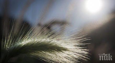 слънчево температурите повишат