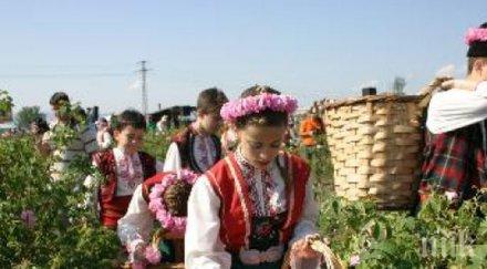 рекорд розовото масло 6500 евро килограм