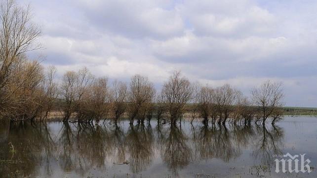 МОСВ: Наблюдаваните реки днес и утре ще се понижават или ще се задържат 