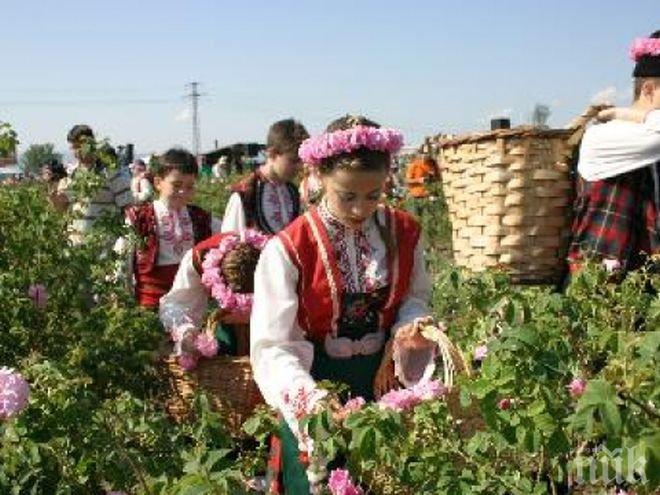 Рекорд! Розовото масло по 6500 евро за килограм!