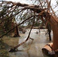 Ужасът в Тбилиси продължава