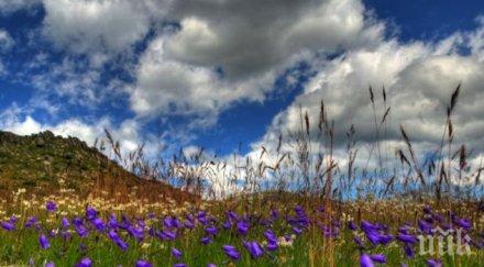 видовден дойде