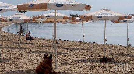 плажовете преминаха екотест