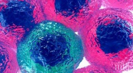 южнокореец хоспитализиран словакия вируса mers