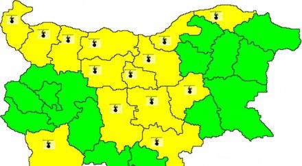 жълт код жега области българия