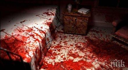 кошмар наркоманка разчлени майка сестра