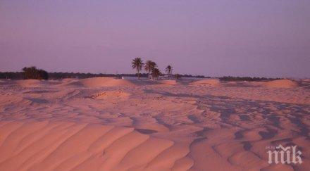 трагедия мигранти бяха намерени мъртви сахара