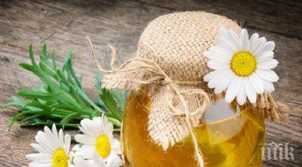 биопчелар младото поколение българия цени биомеда