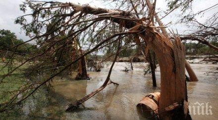 трагедия души загинаха водната стихия тбилиси