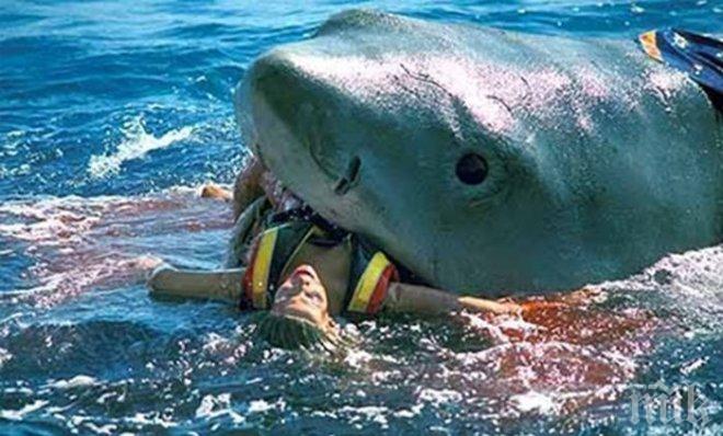 Кръв и ужас! Акули разкъсаха тийнейджъри 