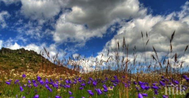 Видовден дойде