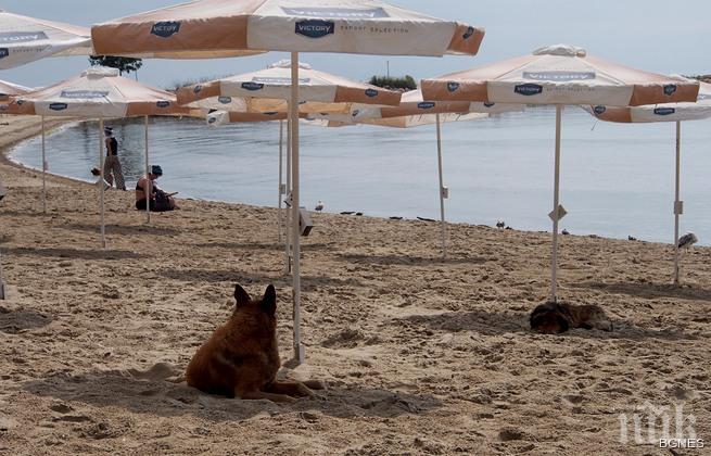 Само 3% от плажовете преминаха екотест