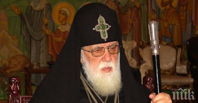 Грузинският патриарх: Греховете на комунистите убиха животните в зоопарка