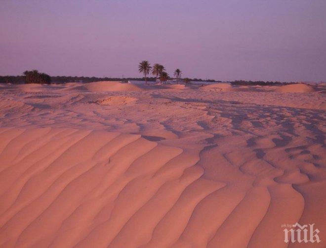 Трагедия! 18 мигранти бяха намерени мъртви в Сахара