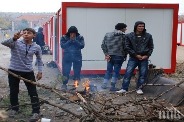 Половината британци не искат бежанци