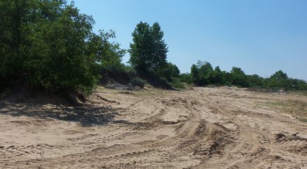 найденов прехвърли топката дюните агенцията горите