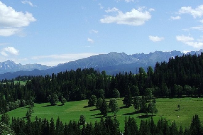 1 януари ще е слънчев и тих