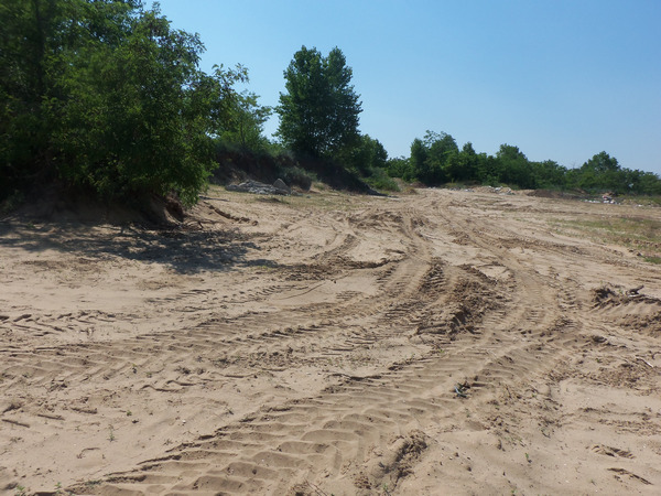Найденов прехвърли топката за дюните на Агенцията по горите