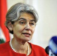 ЮНЕСКО призовава за опазване на културното наследство в Сирия и Ирак 