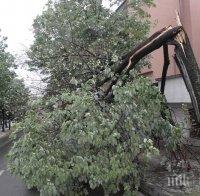 Оранжев код за силни гръмотевични бури и градушки