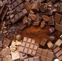 Шоколадът пази сърцето и кръвоносните съдове