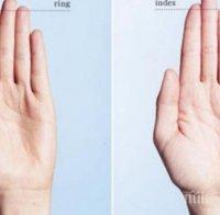 Дължината на пръстите на мъжа разкрива неподозирани тайни