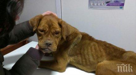 вижте любовта грижата промениха живота изтормозената спешъл снимки