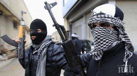 терористи камикадзета влизат месечно ирак