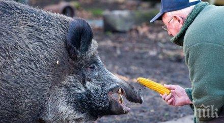 нахален глиган ухапа двама дома